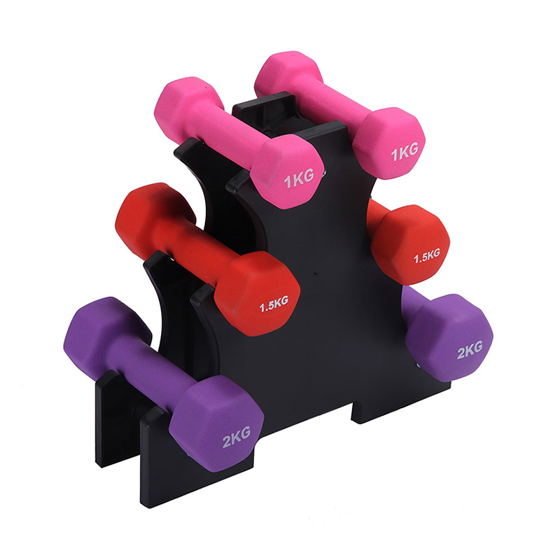 Conjunto de halteres para ginástica doméstica